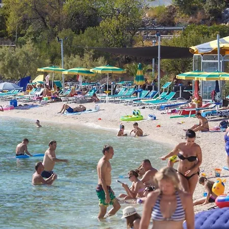 Rose * Seget Vranjica