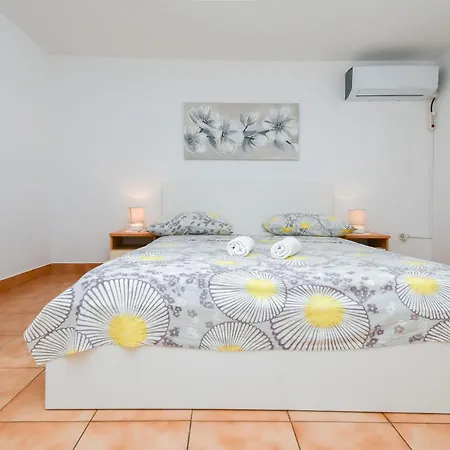 Rose * Seget Vranjica